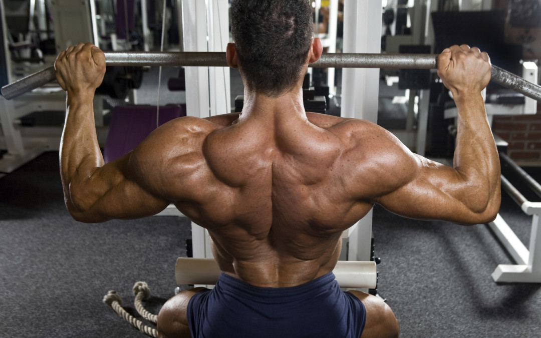 Tehnica HIT - High Intensity Training Routine