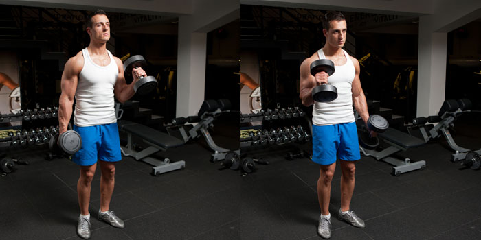 flexii alternative hammer pentru biceps